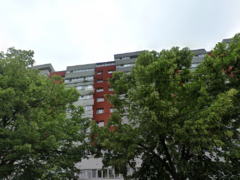 Lacul Tei - Parcul Tei - Facultatea de constructii - metroul Obor 12 min