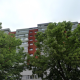 Lacul Tei - Parcul Tei - Facultatea de constructii - metroul Obor 12 min